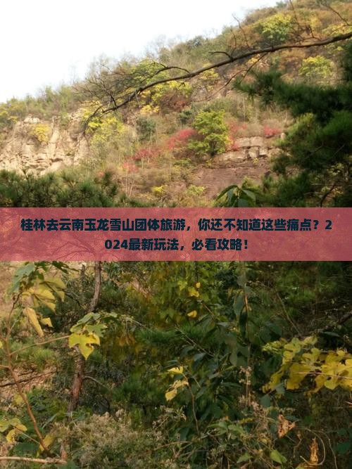 桂林去云南玉龙雪山团体旅游