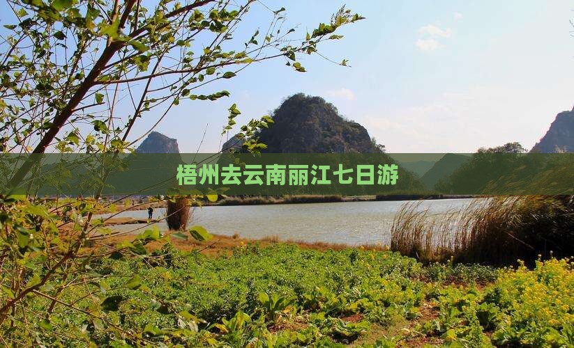 梧州去云南丽江七日游