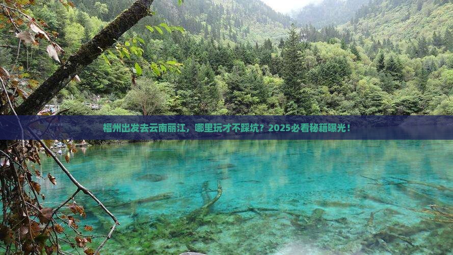 福州到云南丽江哪里玩