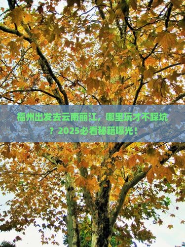 福州到云南丽江哪里玩