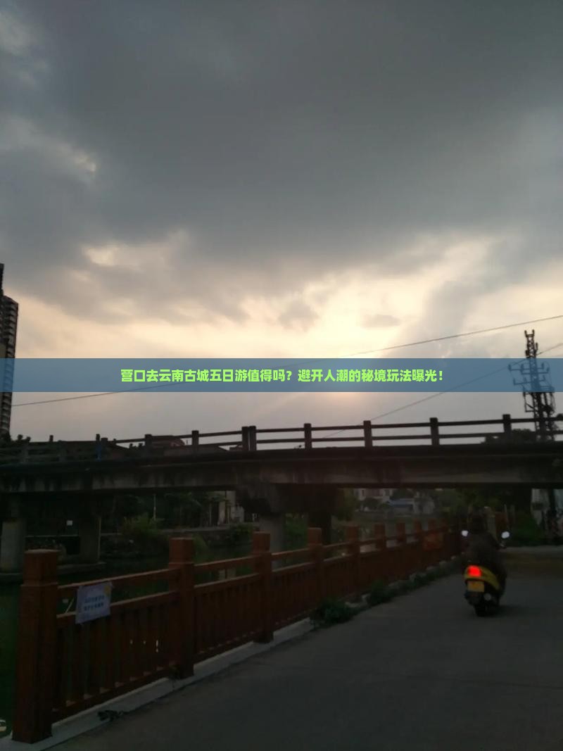 营口去云南古城五日游