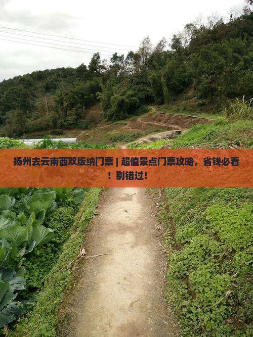 扬州去云南西双版纳门票
