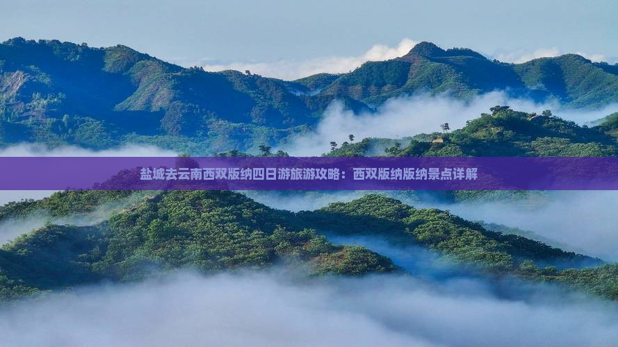盐城去云南西双版纳四日游