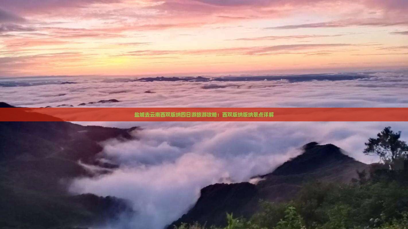 盐城去云南西双版纳四日游