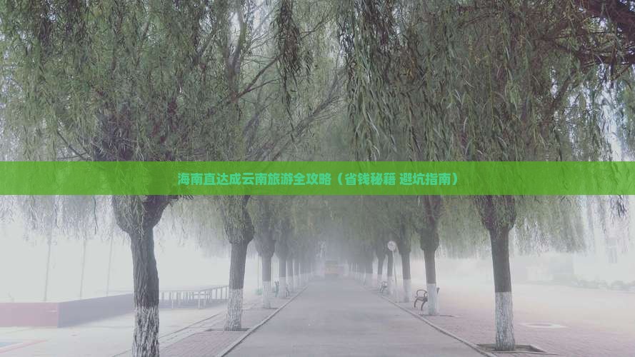 海南省直辖到云南门票