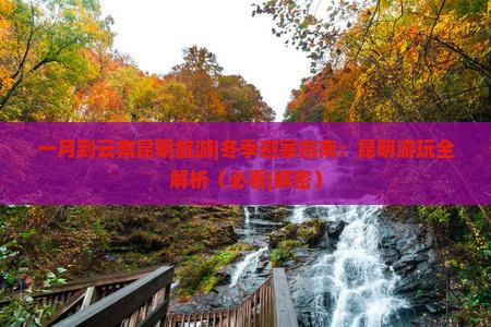 一月到云南昆明旅游