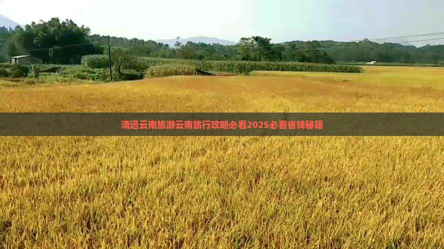 清远去云南昆明团体旅游