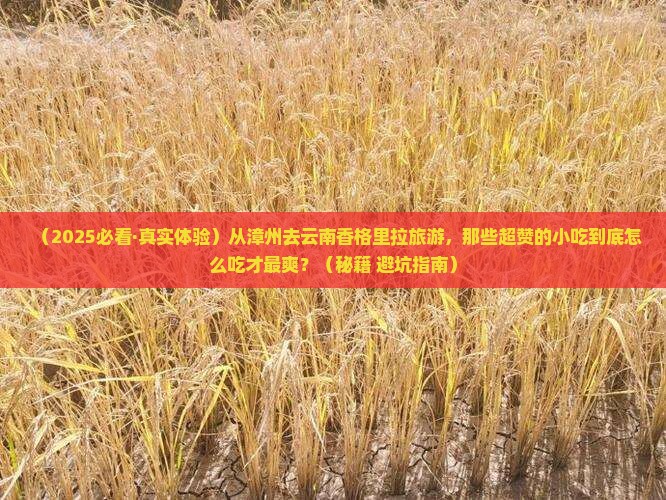 漳州到云南香格里拉旅游小吃