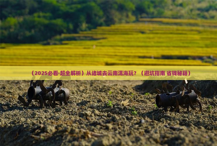 诸城到云南洱海哪里玩