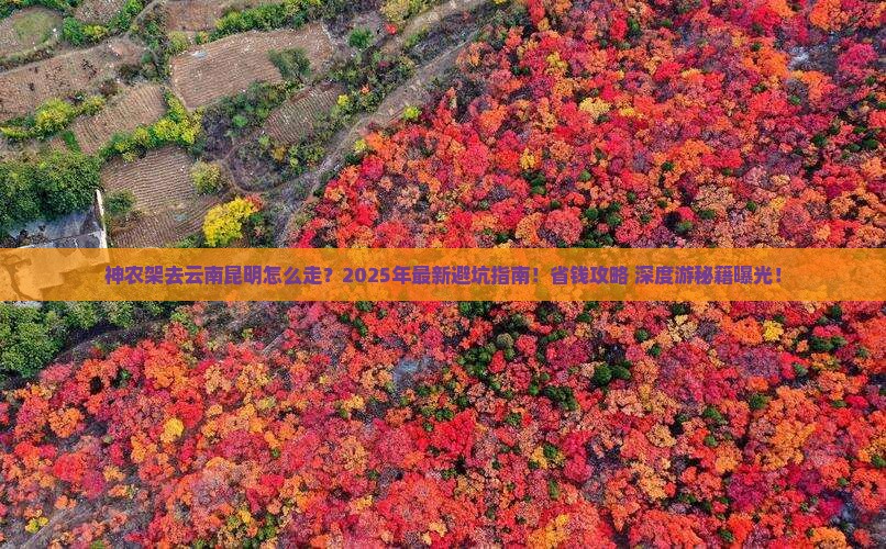 神农架去云南昆明旅行社