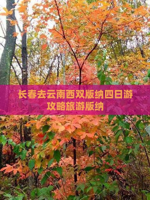 长春去云南西双版纳四日游