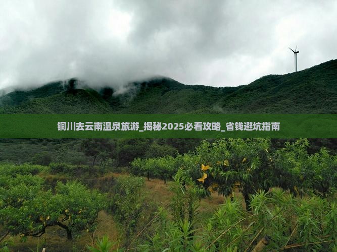 铜川去云南温泉旅游