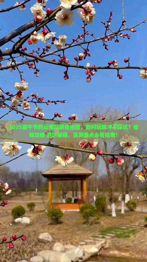 端午节到云南昆明自由团