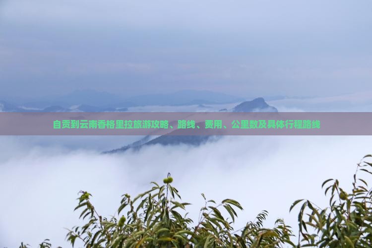 自贡到云南香格里拉旅游