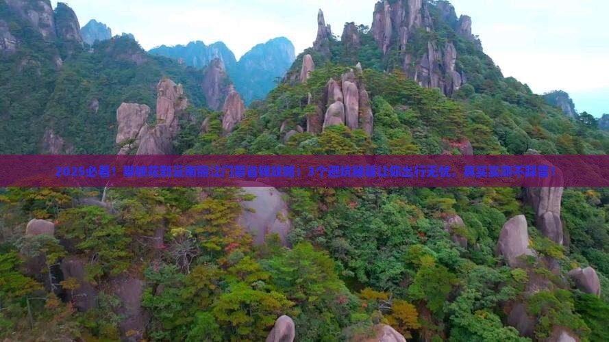 攀枝花到云南丽江门票