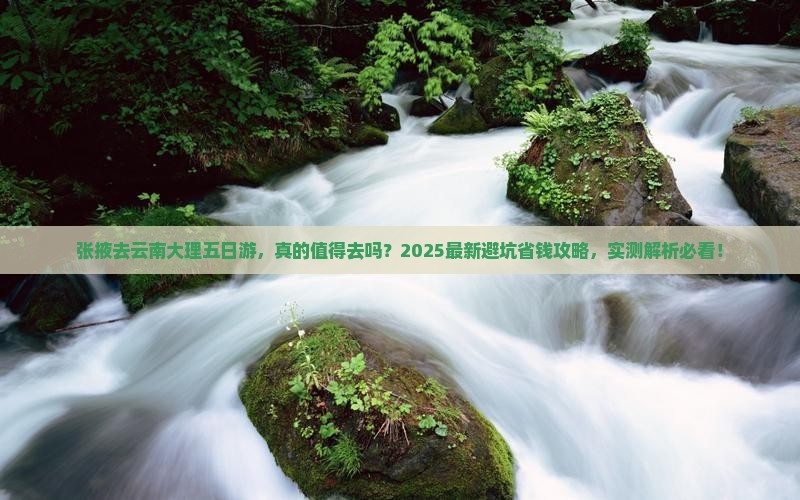 张掖去云南大理五日游