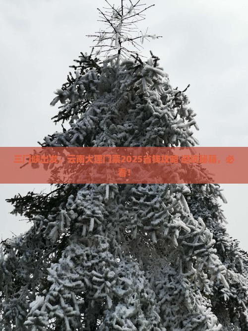 三门峡去云南大理门票