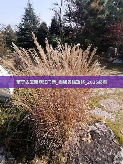 南宁去云南丽江门票