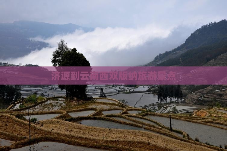 济源到云南西双版纳景点