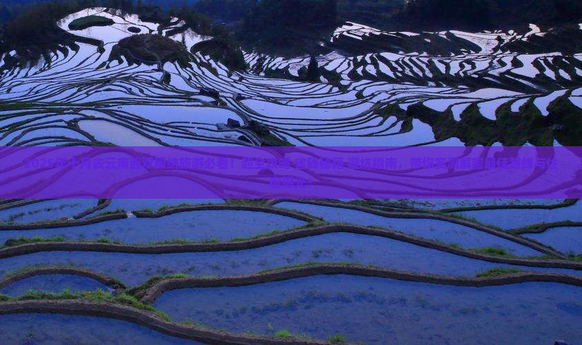 十月去云南西双版纳旅游