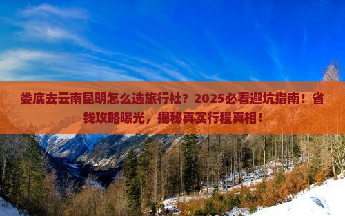 娄底去云南昆明旅行社