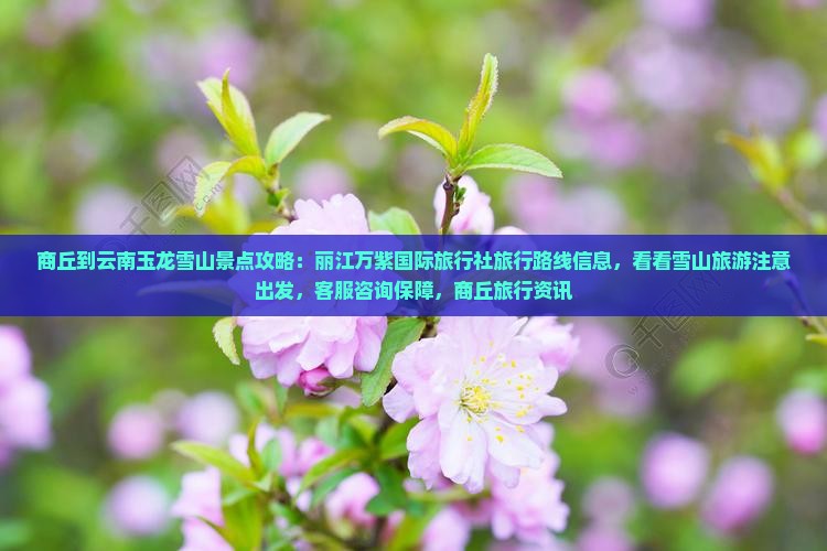 商丘到云南玉龙雪山景点