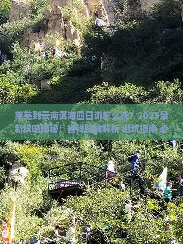 莱芜到云南洱海四日游