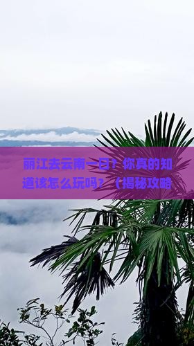 丽江去云南一日