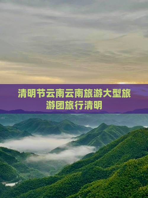 清明节到云南大型旅游团