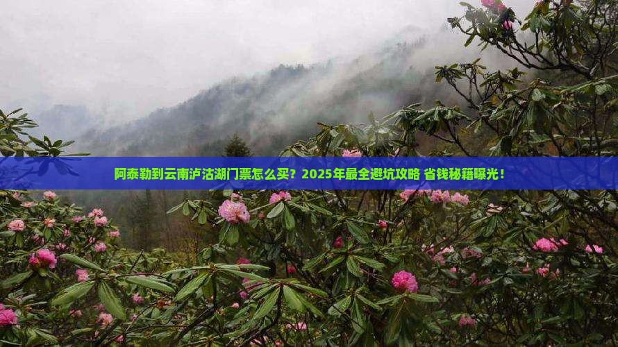 阿泰勒到云南泸沽湖门票