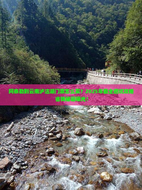 阿泰勒到云南泸沽湖门票