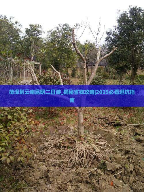 菏泽到云南昆明二日游