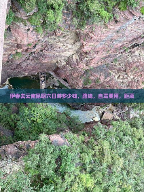 伊春去云南昆明六日游