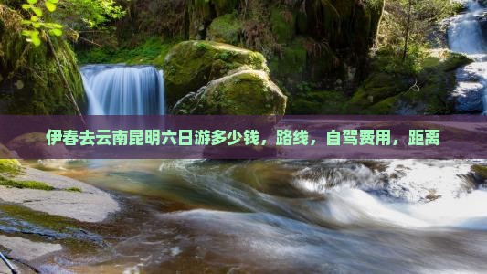 伊春去云南昆明六日游