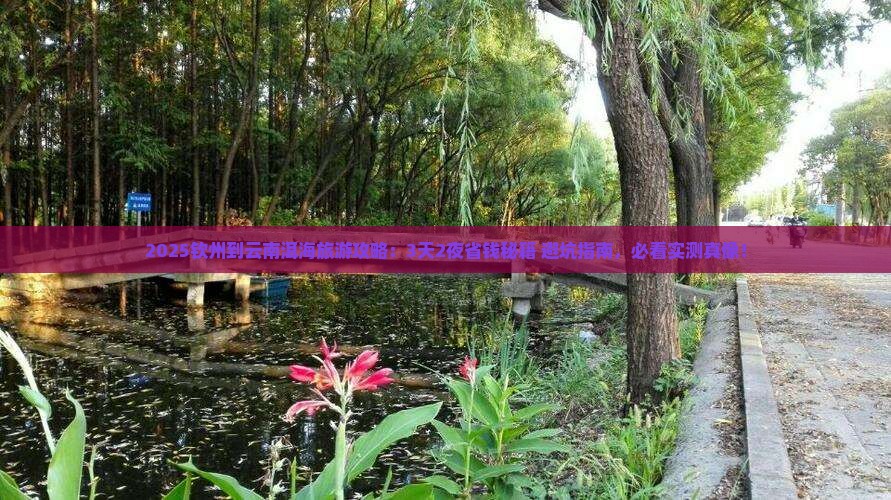 钦州到云南洱海旅游