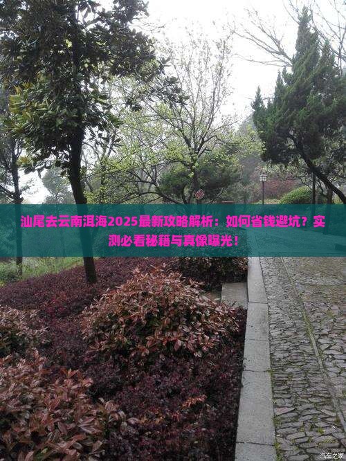 汕尾去云南洱海攻略