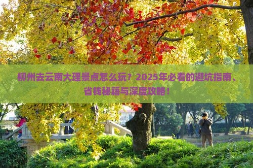 柳州去云南大理景点