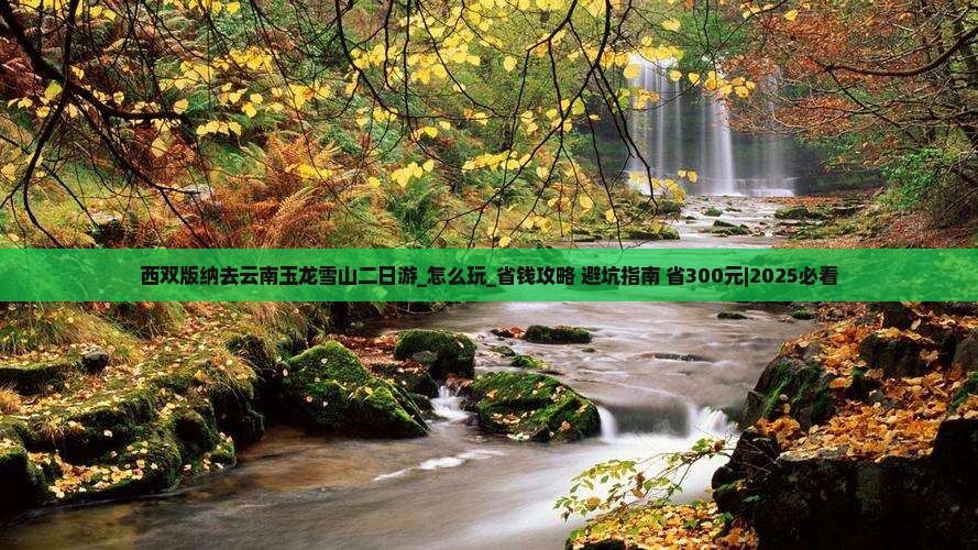 西双版纳去云南玉龙雪山二日游