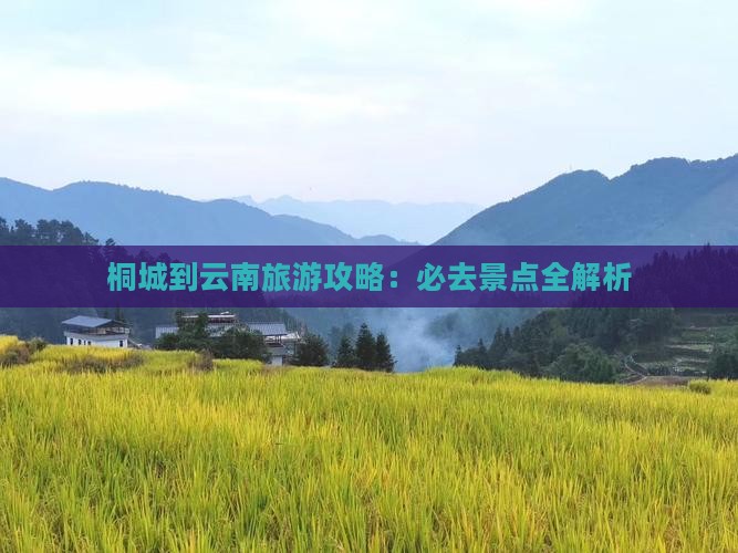 桐城到云南自由团