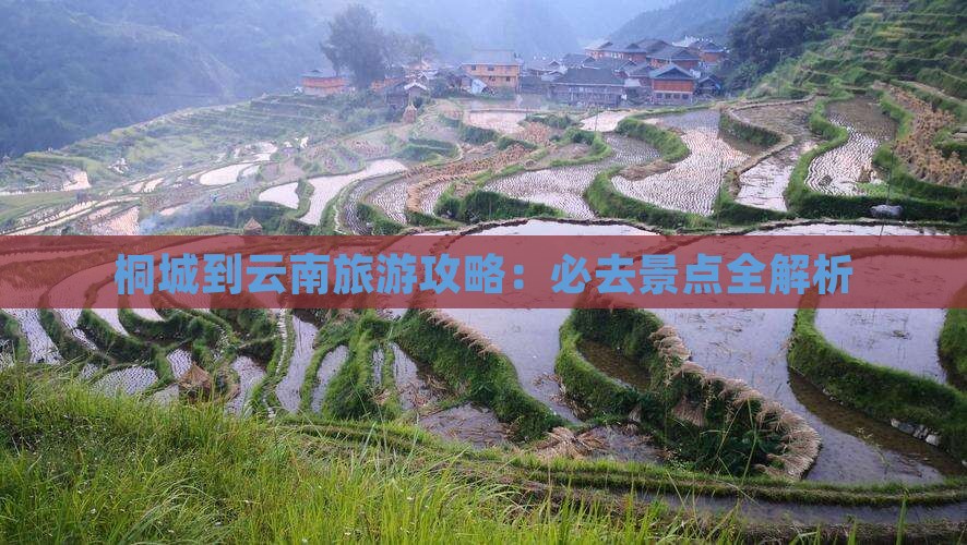 桐城到云南自由团