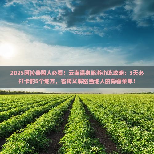 阿拉善盟到云南温泉旅游小吃