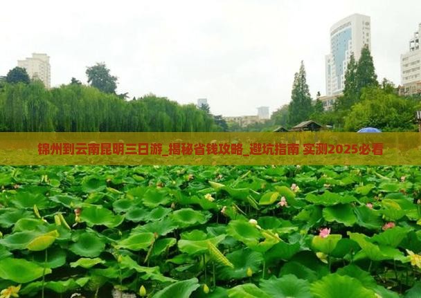 锦州到云南昆明三日游