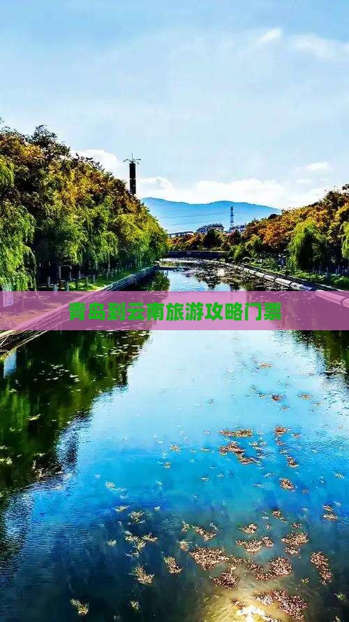 青岛到云南昆明门票