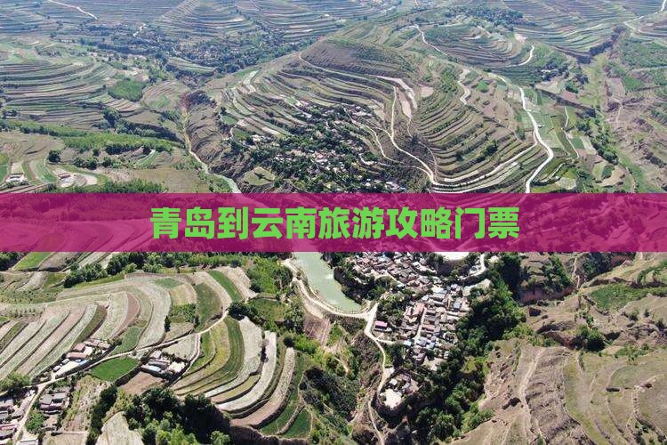 青岛到云南昆明门票