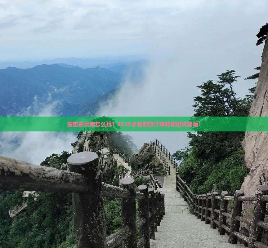 楚雄去云南旅行社