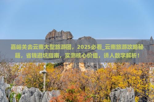 嘉峪关去云南大型旅游团