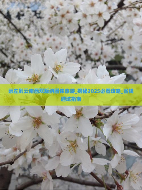 崇左到云南西双版纳团体旅游