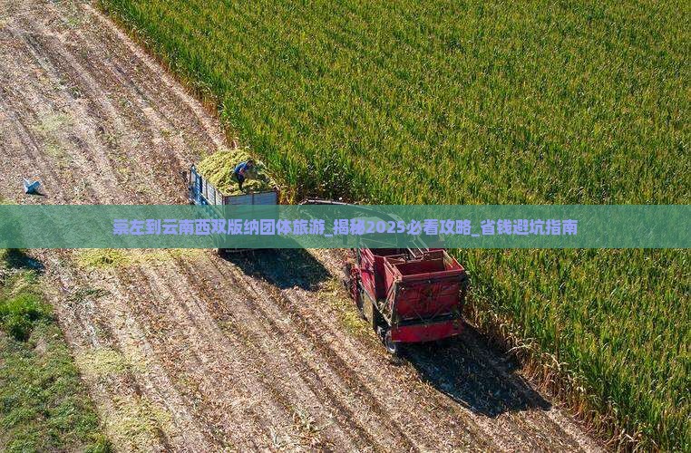 崇左到云南西双版纳团体旅游