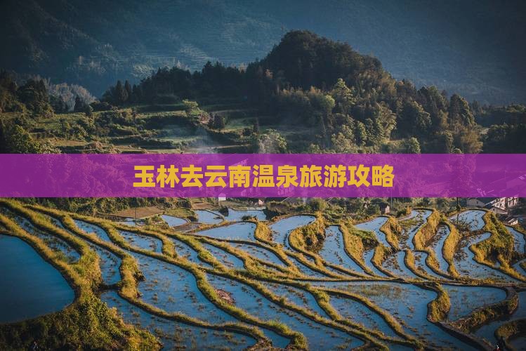 玉林去云南温泉个人游