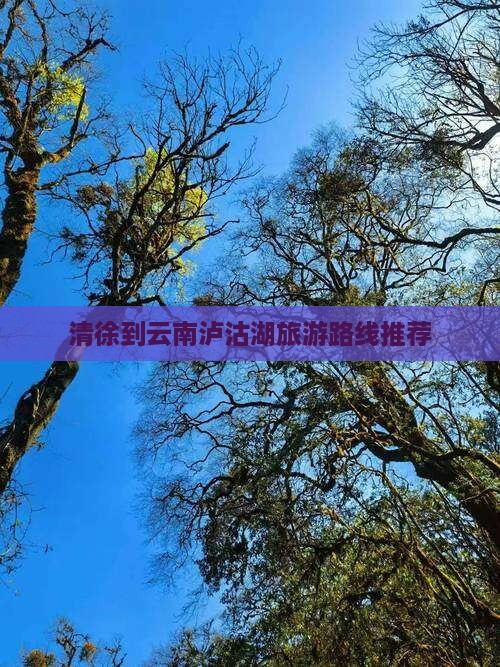清徐到云南泸沽湖旅游